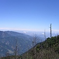 夫妻樹旁山景