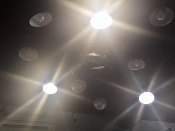 12002257_10204818290874992_3443590593387962070_n