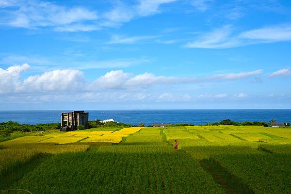 DSC_3042.JPG DSC_3042.JPG