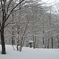 2008_02150472.JPG