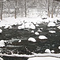 2008_02150497.JPG