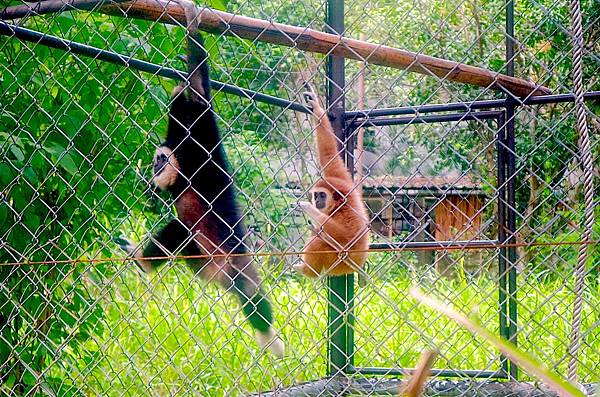 7516813376_IMG_0124.JPG 7516813376_IMG_0124.JPG