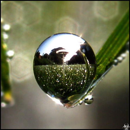 Dew_Drop_Lens_by_BioHaZaRD_101.jpg