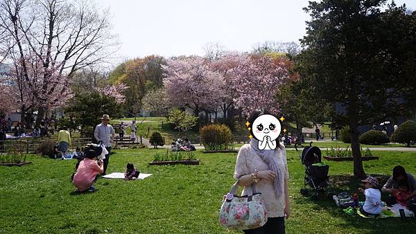 image.jpeg image.jpeg