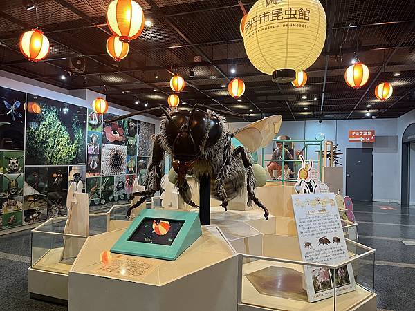 ［遊記］小小孩也愛的蝴蝶溫室 — 快閃『伊丹市昆蟲館』