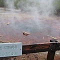 Echinus Geyser