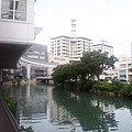 IMG_1785.jpg