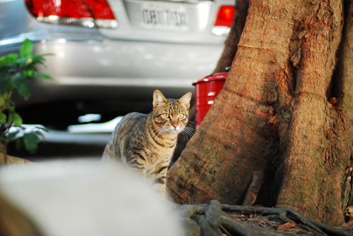 DSC_0004.JPG DSC_0004.JPG