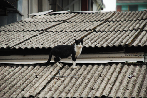 DSC_0125.JPG DSC_0125.JPG