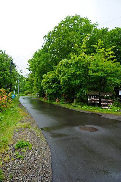 DSC06675