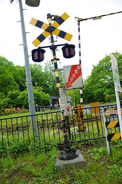 DSC06681
