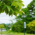 DSC06694