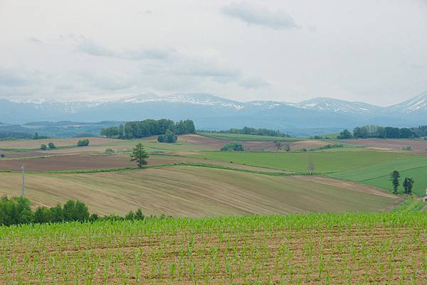 DSC07165