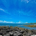 DSC08955.jpg