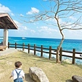 DSC00101.jpg
