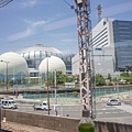 DSC01842.jpg