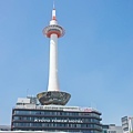 DSC01849.jpg
