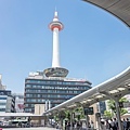 DSC01850.jpg