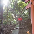 DSC01941.jpg