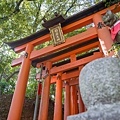 DSC01945.jpg