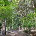 DSC01953.jpg