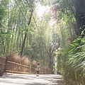 DSC02050.jpg