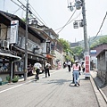DSC02157.jpg