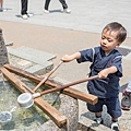 DSC02173.jpg