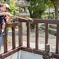 DSC02186.jpg