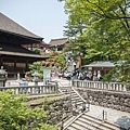 DSC02210.jpg
