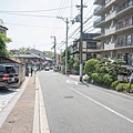 DSC02252.jpg