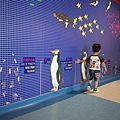 DSC00101.jpg
