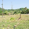DSC00106.jpg