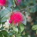 DSC00108.jpg