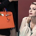 Hermes-Kelly-Bag-Kelly-br-7-Grace-Kelly_img_750_h.jpg