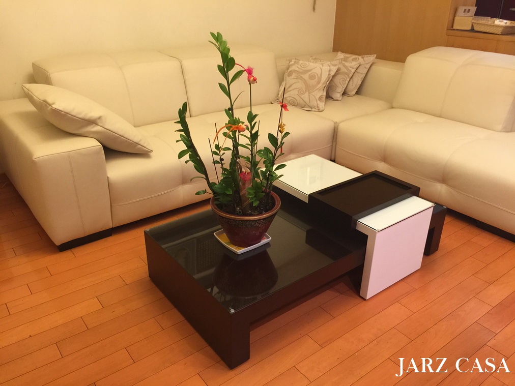 JARZ-傢俬工坊-092natuzzi.JPG