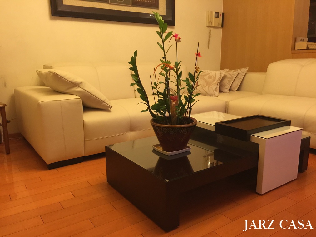 JARZ-傢俬工坊-088natuzzi.JPG