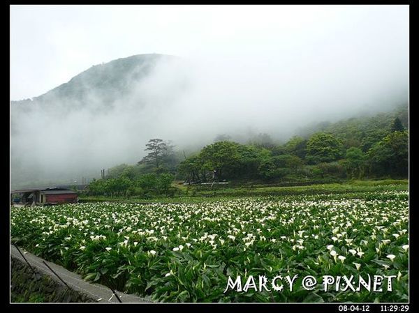 偶爾會有霧氣在山巒間