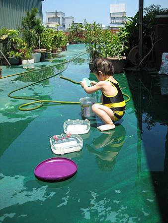 IMG_2795.JPG IMG_2795.JPG