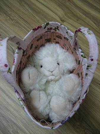 IMG_3449 IMG_3449