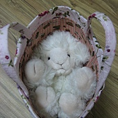 IMG_3449 IMG_3449