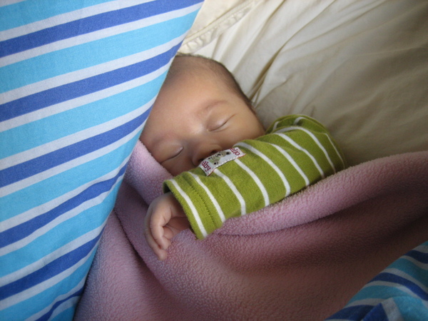 IMG_8687.JPG IMG_8687.JPG
