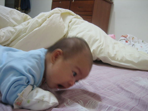IMG_8716.JPG IMG_8716.JPG