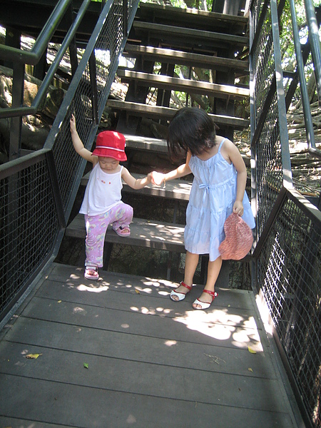 IMG_1493.JPG IMG_1493.JPG
