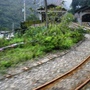 搭台車沿途風景