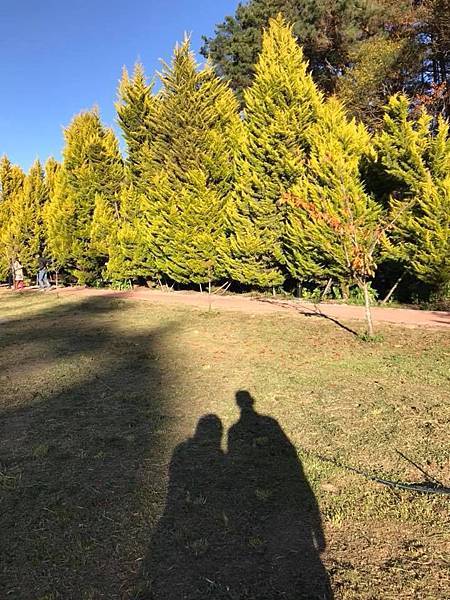 w 027.jpg w 027.jpg