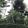 碁合二宅5.19_190604_0021.jpg