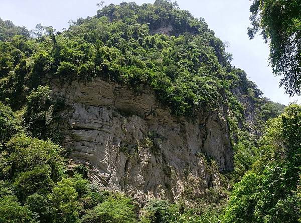 花蓮太魯閣砂卡礑步道 (40).jpg