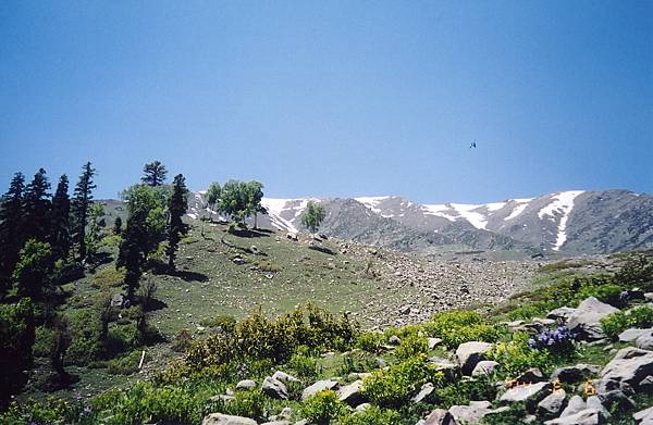 GULMARG-8.jpg