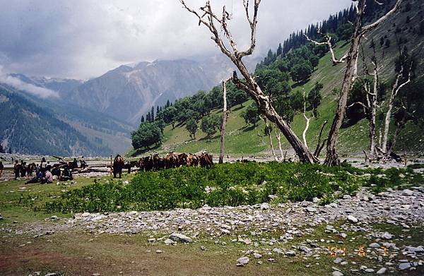 SONAMARG-3.jpg